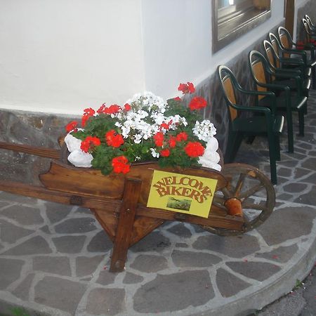 Albergo Larese Ауронцо ди Кадоре Екстериор снимка