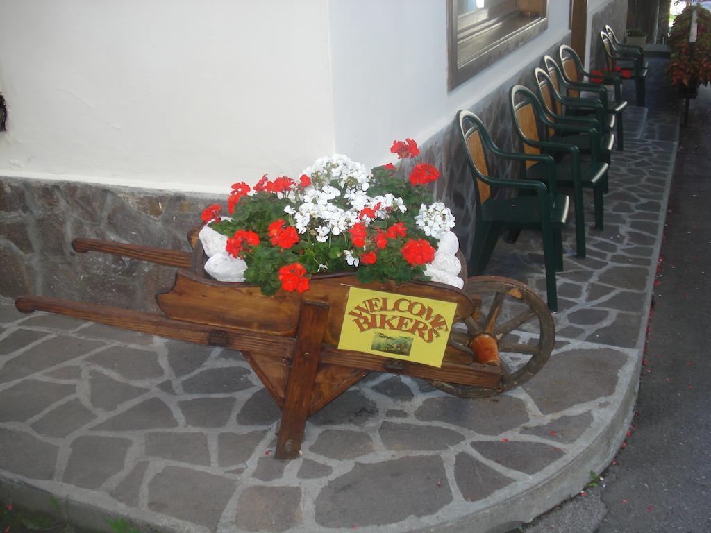 Albergo Larese Ауронцо ди Кадоре Екстериор снимка